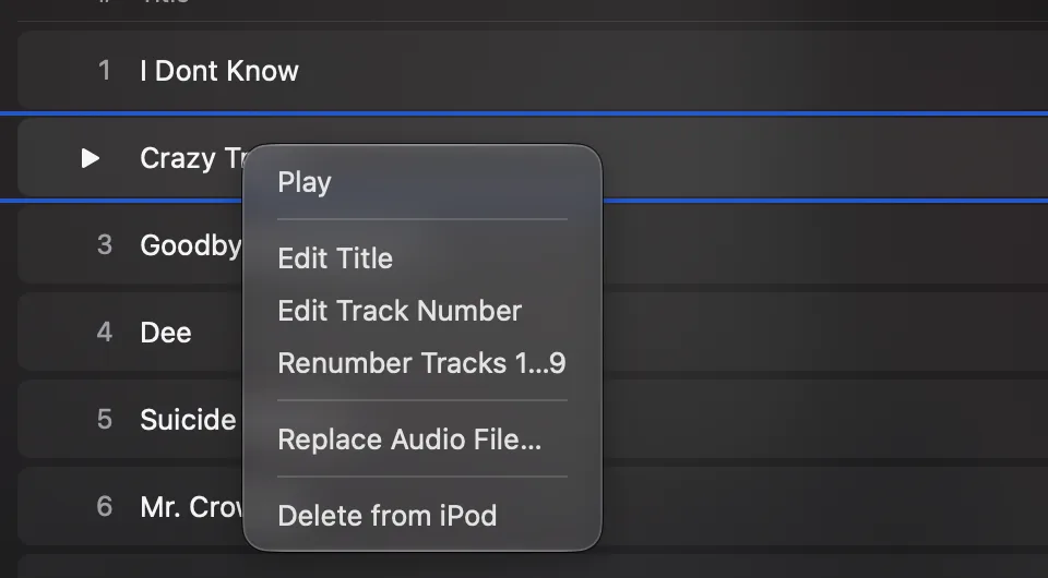 The menu of a song: Play, Edit Title, Edit Track Number, Renumber Tracks, Replace Audio File, Delete from iPod